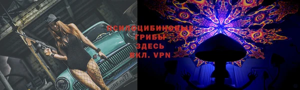 MDMA Горнозаводск