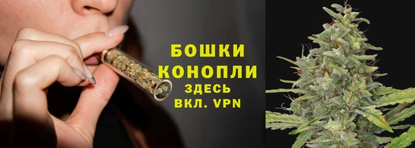 тгк Гусиноозёрск