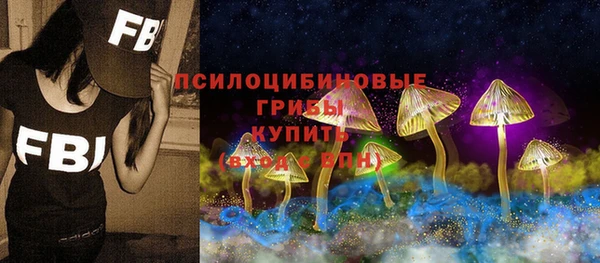 MDMA Горнозаводск