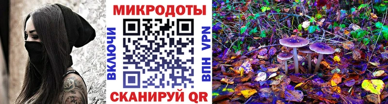 мега вход  Егорьевск  Галлюциногенные грибы Magic Shrooms  продажа наркотиков 